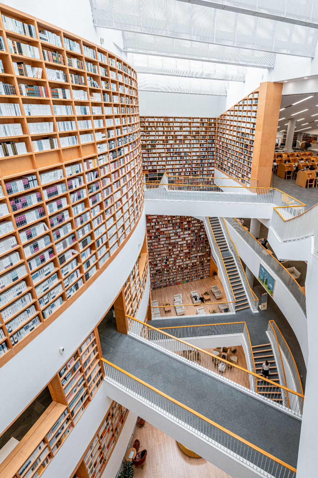 中文香港大学深圳怎么样_香港中文大学（深圳）_香港中文大学深圳学院