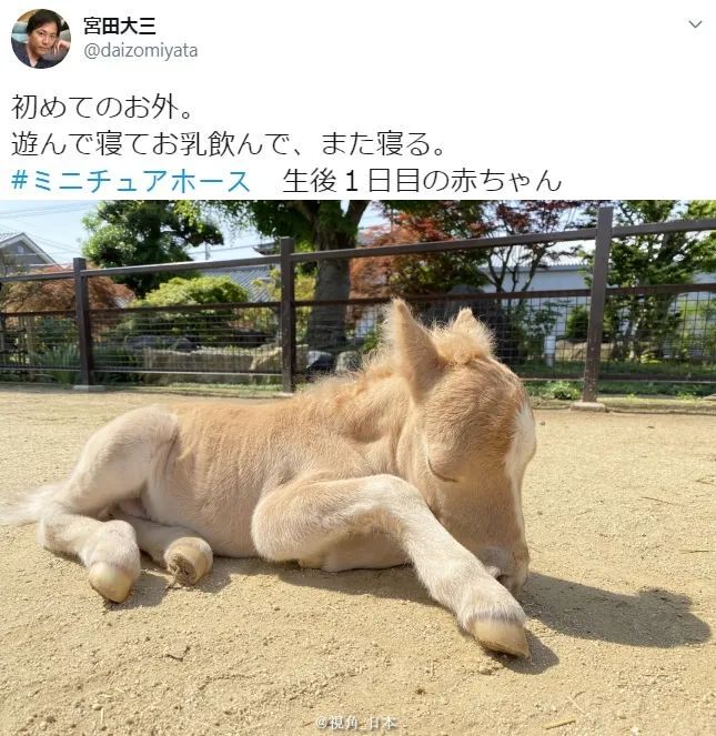 白板笔_白板笔_白板笔