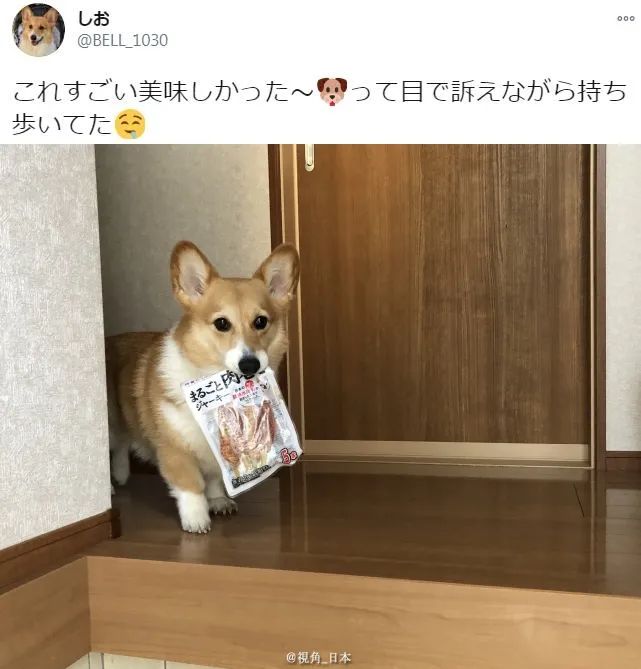 白板笔_白板笔_白板笔