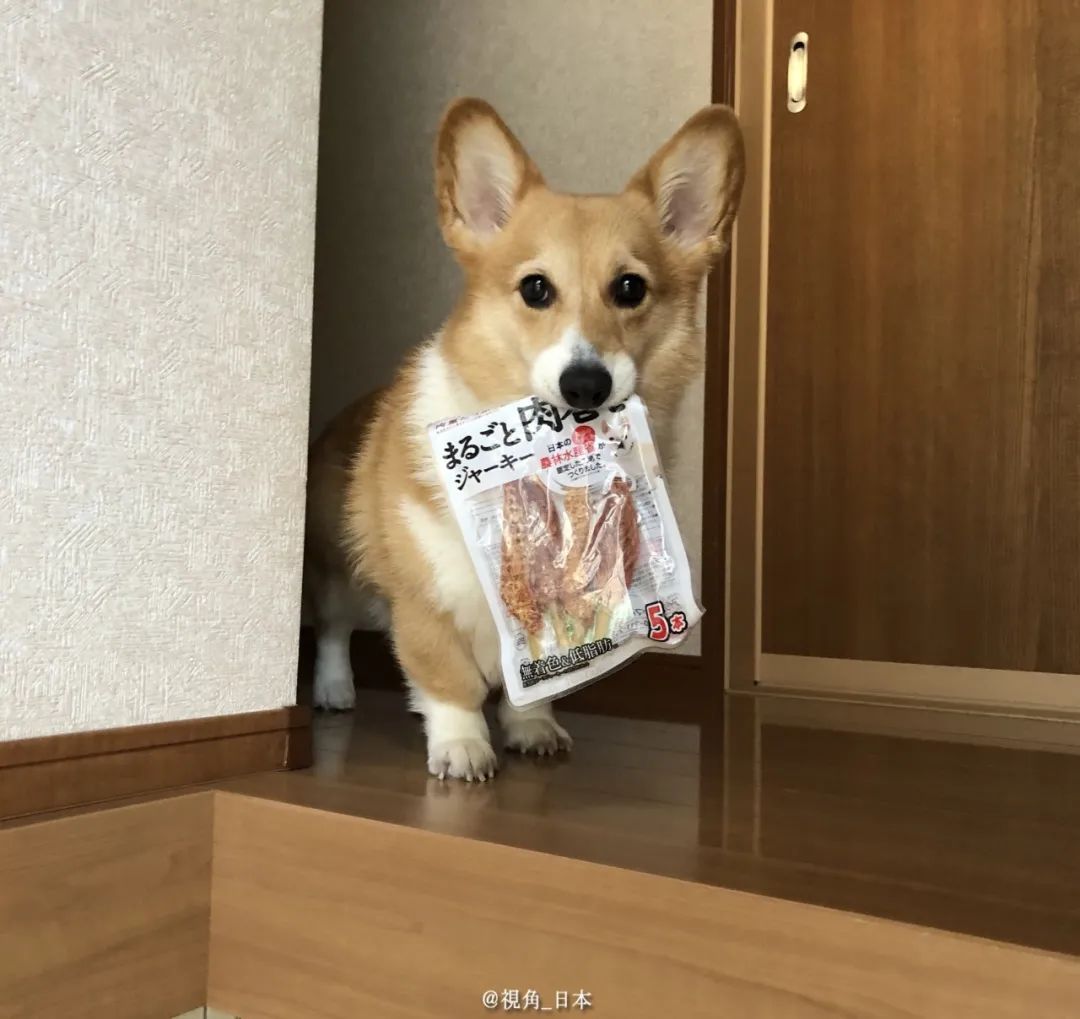 白板笔_白板笔_白板笔