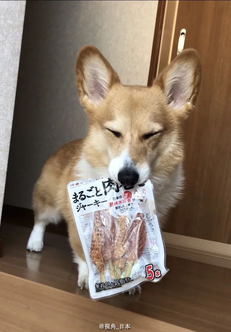 白板笔_白板笔_白板笔