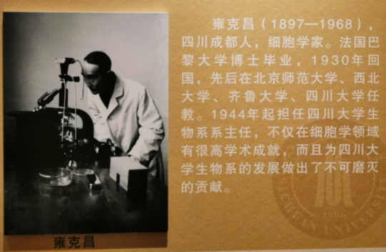 北京市师范生毕业怎么分配_毕业于北京师范大学_北京师大毕业出路