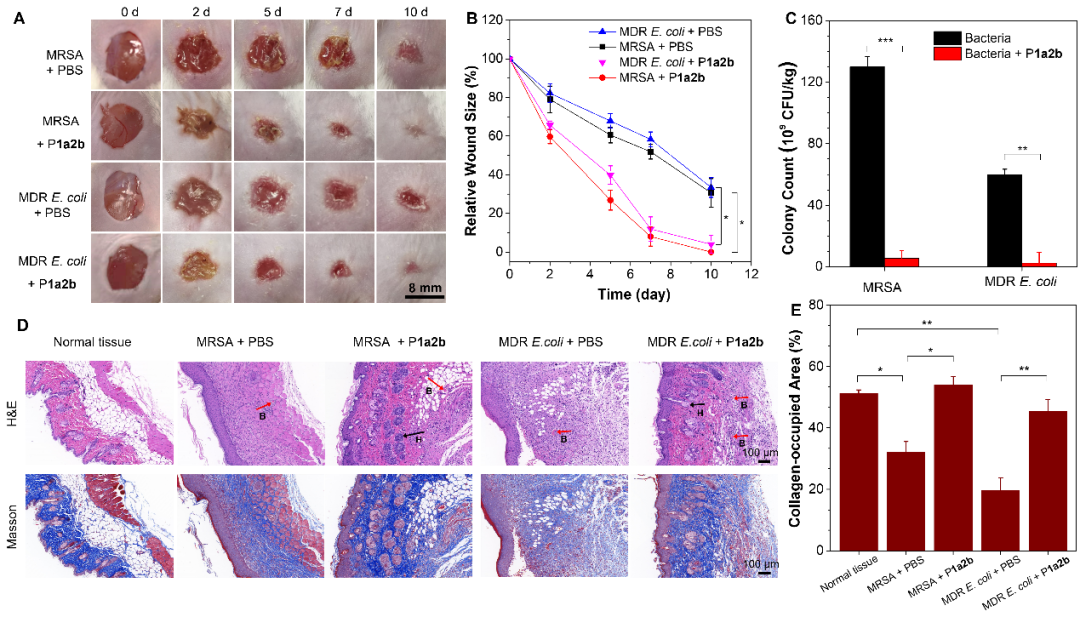 港中深面试英语_港中深_港中深631考什么