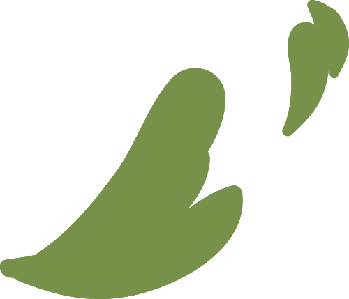 厦门大学校友录_厦门大学校友最大的官_厦门大学校友