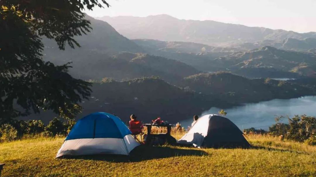 it创业失败_失败创业者的特征_失败创业案例