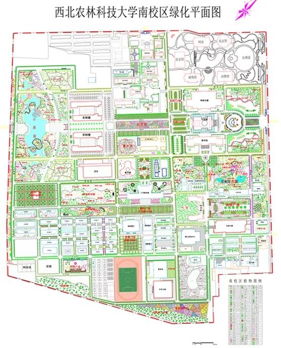 西北农林科技大学_西北科技农林大学是985吗_西北科技农林大学排名