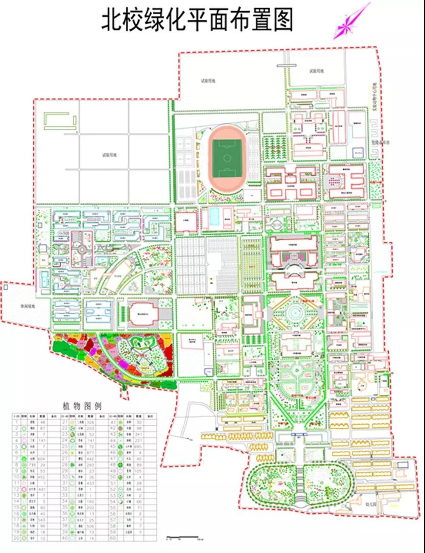 西北农林科技大学_西北科技农林大学是985吗_西北科技农林大学排名