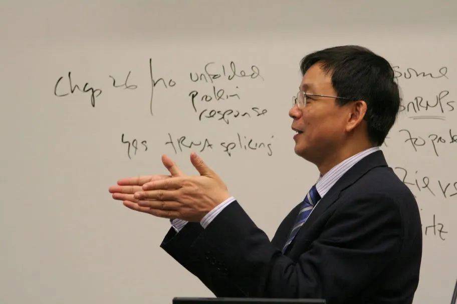 厦门本科_毕业于厦门大学_厦门本科高校