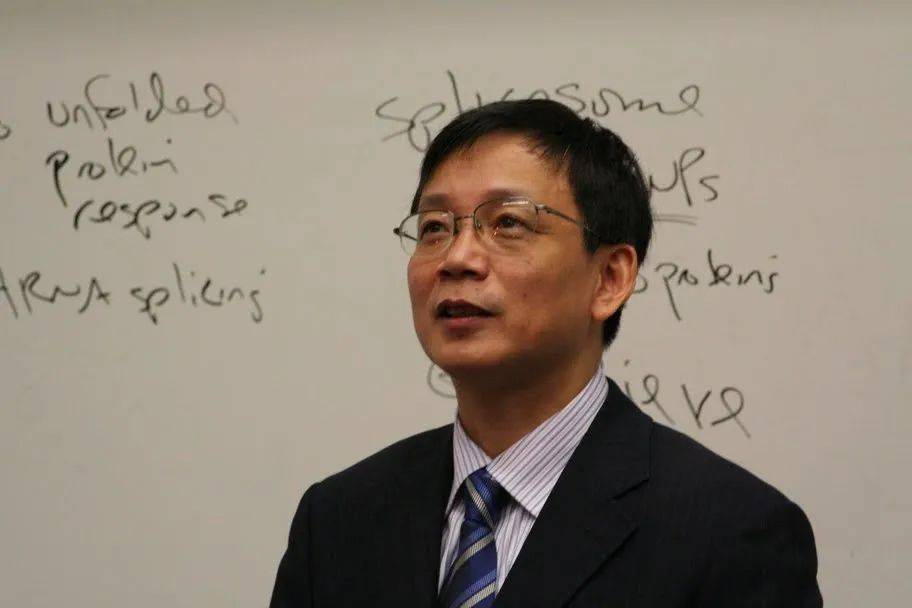 厦门本科高校_厦门本科_毕业于厦门大学