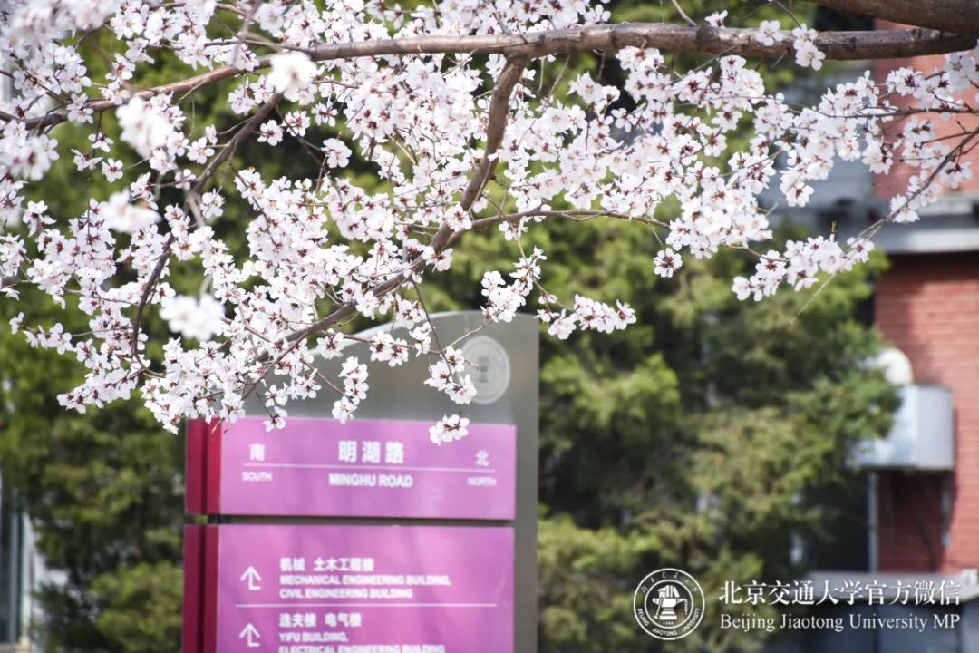 北京交通大学学生_交通大学北京学生多少人_北京交通大学学生网