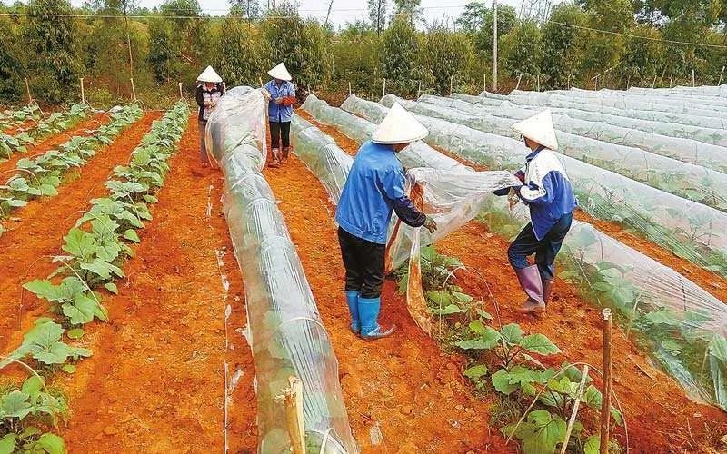 大学生创业失败原因分析_大学生创业失败原因_原因失败创业大学生怎么办