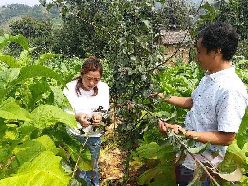 大学生创业失败原因分析_原因失败创业大学生怎么办_大学生创业失败原因