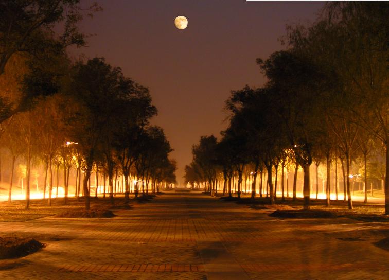 传播学引论第四版_传播学引论李彬pdf百度云_传播学引论