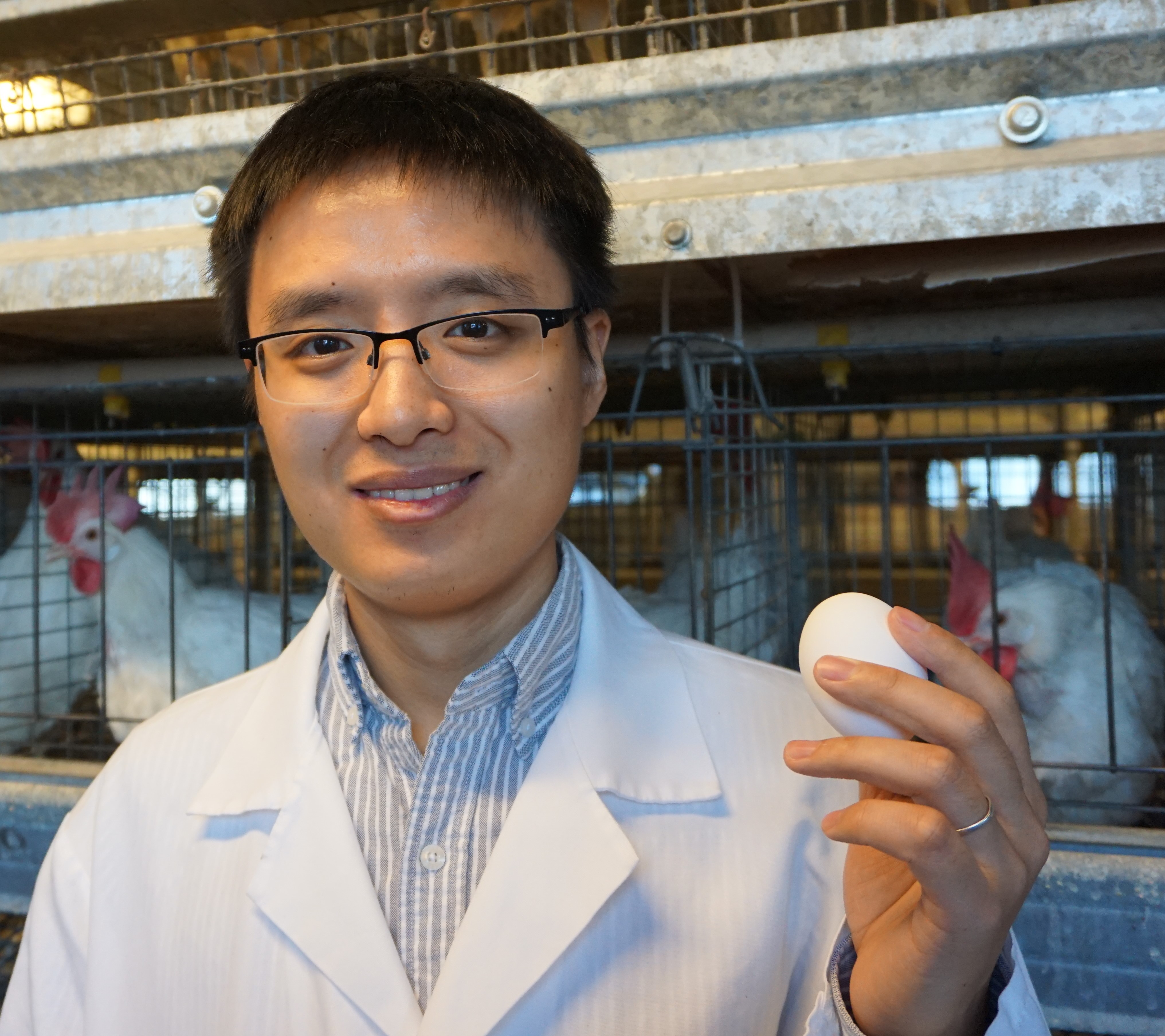 西北科技农林大学是985吗_西北农林科技大学_西北农林科技大简介