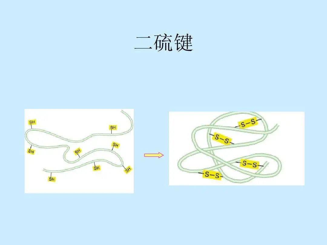 卷发棒伤头发吗_卷发棒伤头发不_卷发棒伤头发还是烫头发伤头发