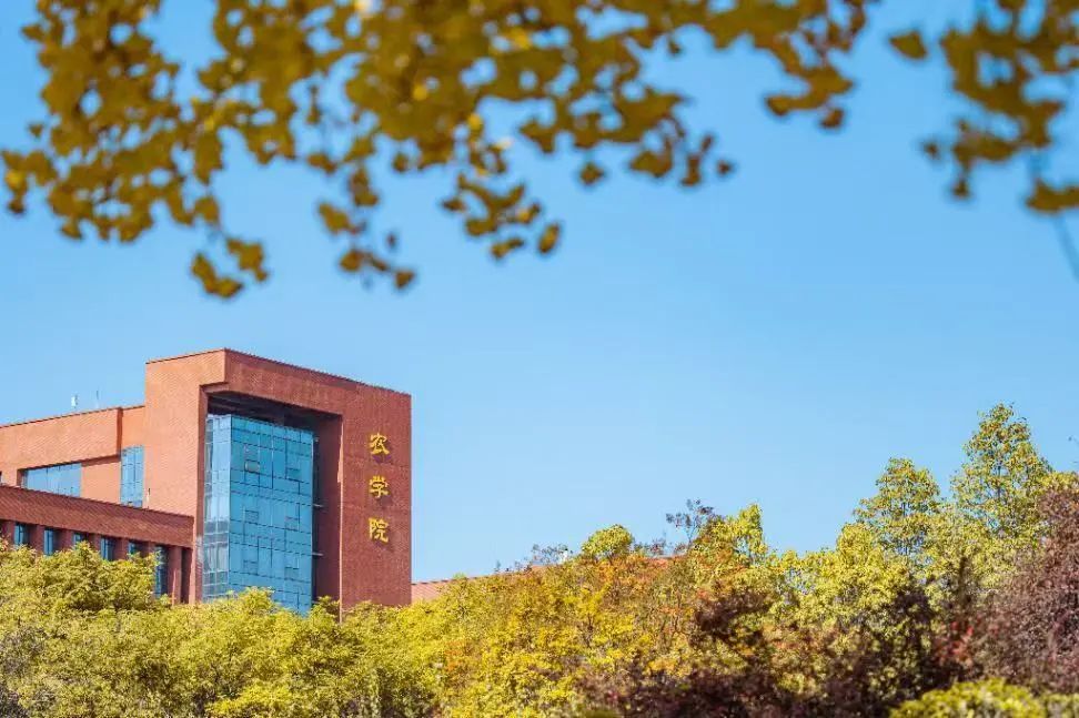 西北农林科技大学_西北农林科技大学门户_西北科技农林大学排名