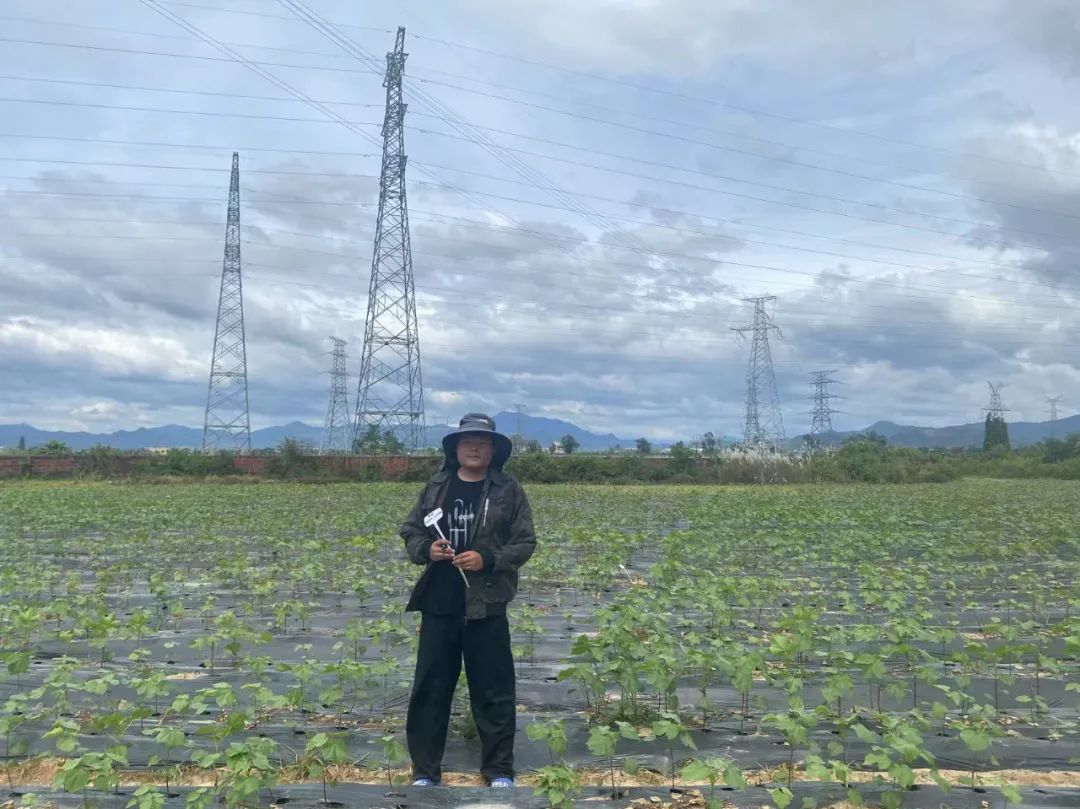 西北科技农林大学排名_西北农林科技大学门户_西北农林科技大学