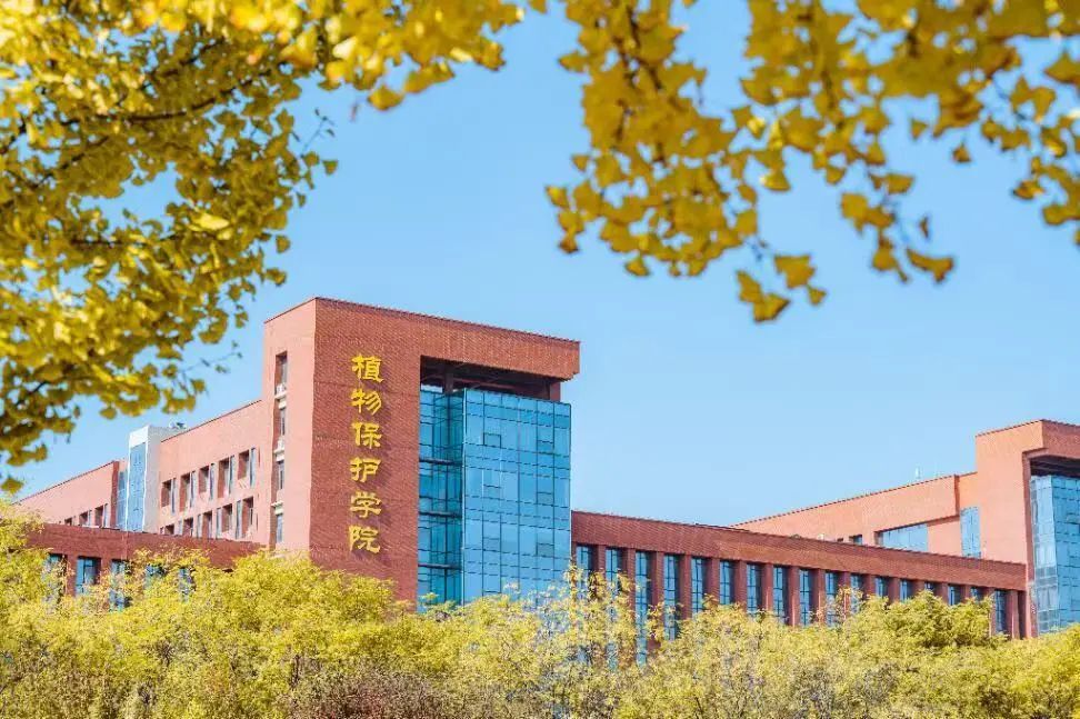 西北农林科技大学门户_西北农林科技大学_西北科技农林大学排名