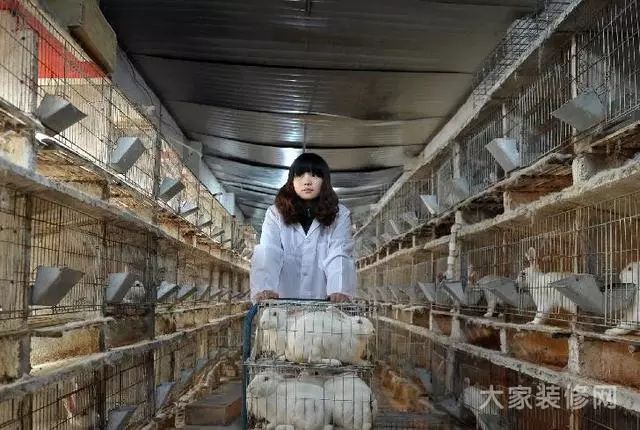 80后创业失败 故事_80后失败创业故事视频_80后失败创业故事大全