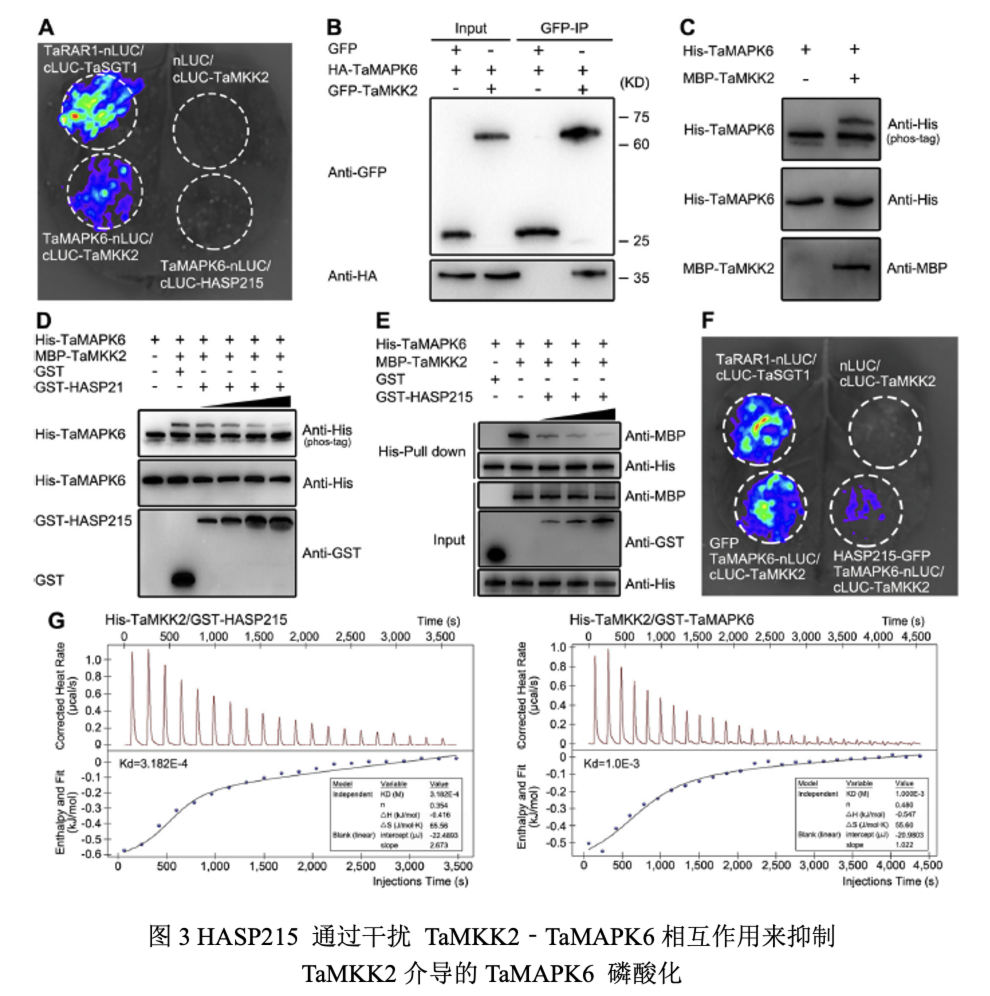 西北农林科技大学门户_西北农林科技大简介_西北农林科技大学