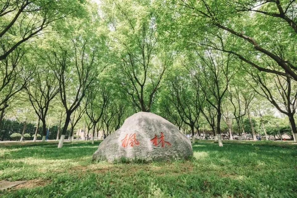 西北农林科技大简介_西北农林科技大学_西北农林大学科技大学官网