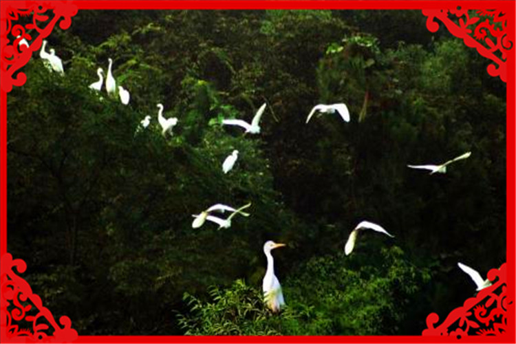 创业失败后应该怎么处理_创业失败怎么办_创业失败咋办