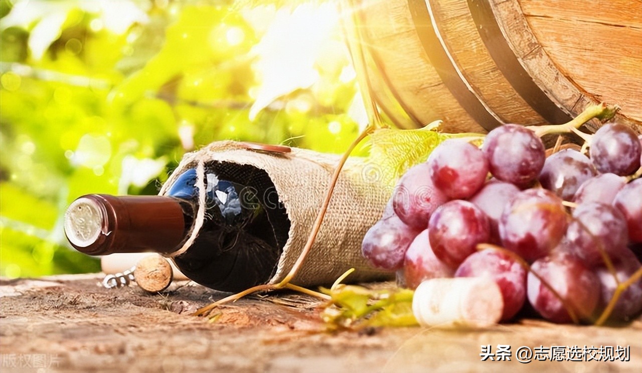 西北农林科技大简介_西北农林大学科技大学官网_西北农林科技大学