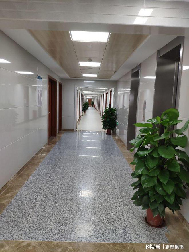 深圳北理莫斯科大学_深圳莫斯科北里大学要多少分_2021北理莫斯科深圳大学