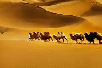 80后创业失败 故事_80后失败创业者_80后创业失败经历