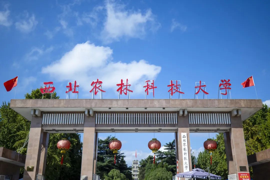 西北农林大学科技大学官网_西北农林科技大简介_西北农林科技大学