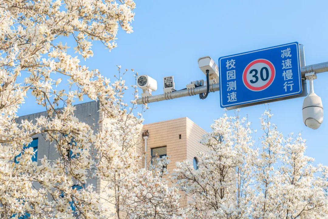 西北农林大学科技大学官网_西北农林科技大简介_西北农林科技大学