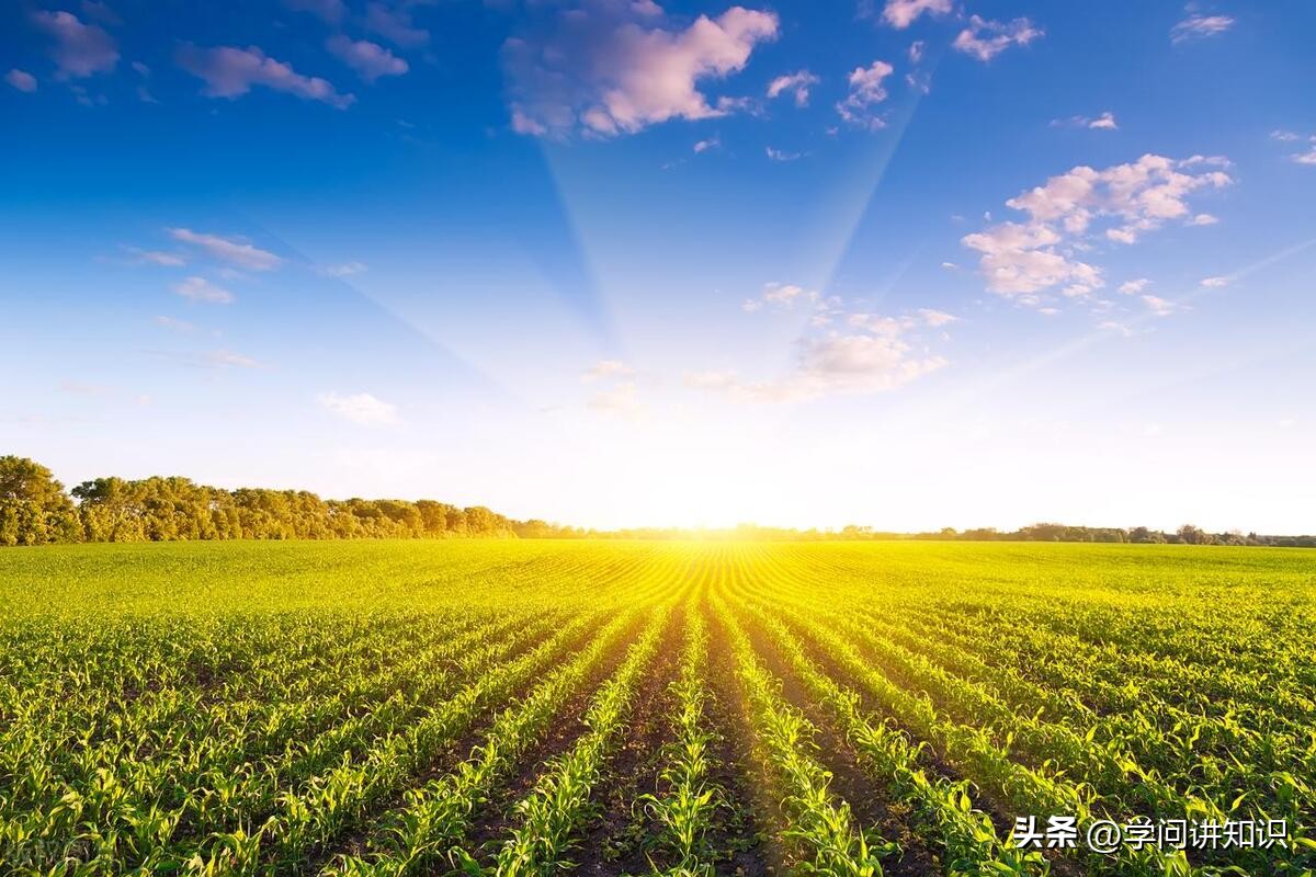 西北农林大学科技大学官网_西北农林科技大学门户_西北农林科技大学