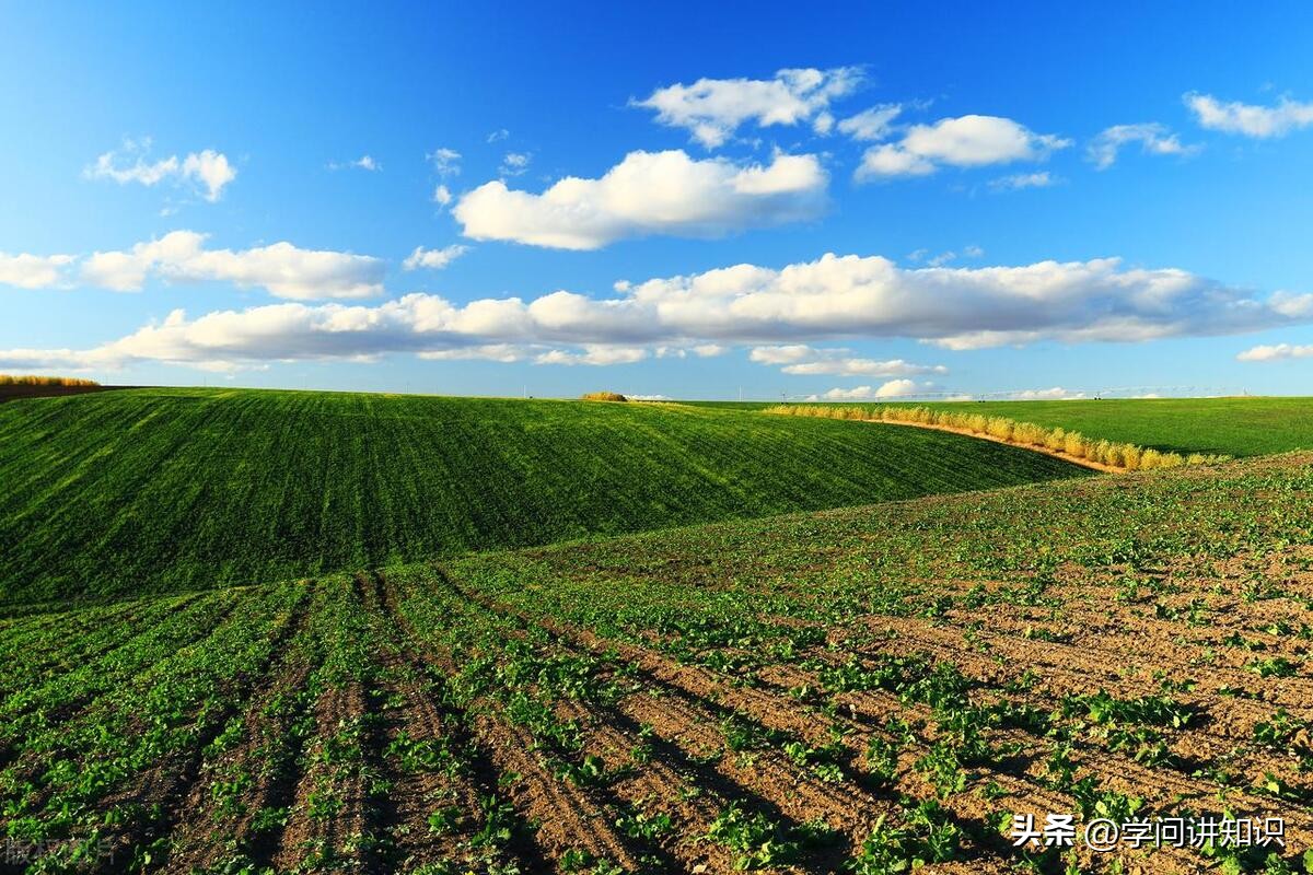 西北农林科技大学门户_西北农林科技大学_西北农林大学科技大学官网