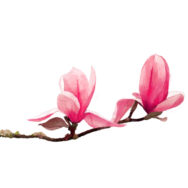 中国人民大学学生_人民大学学生中国有多少人_中国人民大学学生处官网