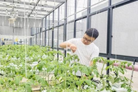 西北农林科技大学门户_西北农林科技大学_西北科技农林大学是985吗