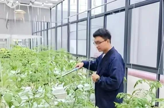 西北科技农林大学是985吗_西北农林科技大学_西北农林科技大学门户