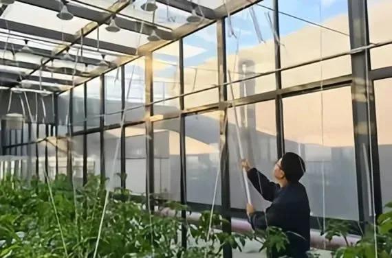 西北农林科技大学门户_西北农林科技大学_西北科技农林大学是985吗