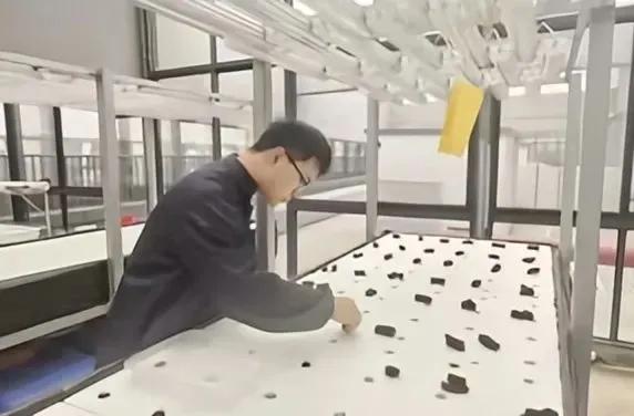 西北科技农林大学是985吗_西北农林科技大学门户_西北农林科技大学