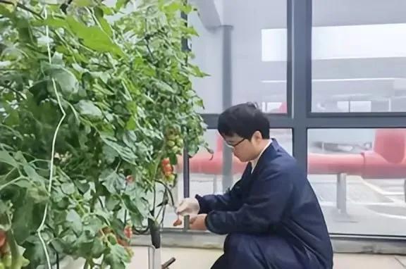 西北科技农林大学是985吗_西北农林科技大学门户_西北农林科技大学