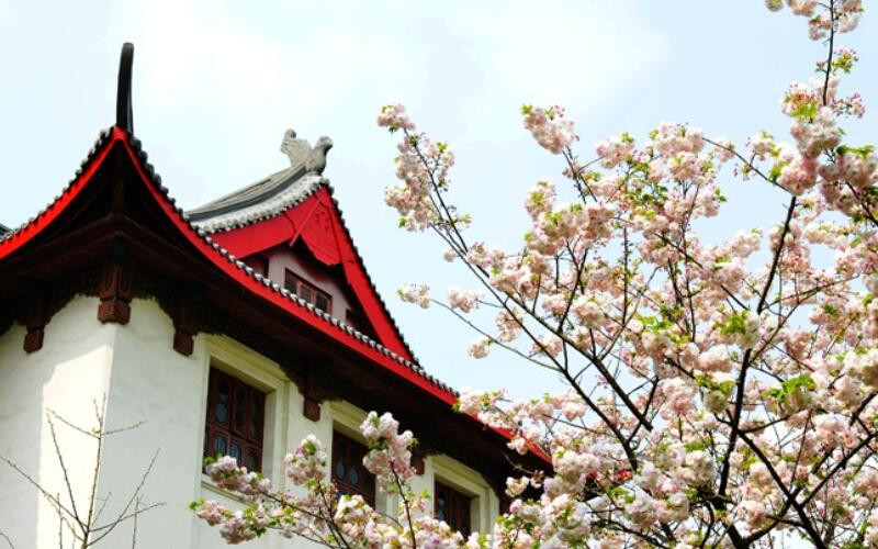 四川大学新闻传播学_四川大学新闻传播学就业前景_四川大学新闻传播学参考书目