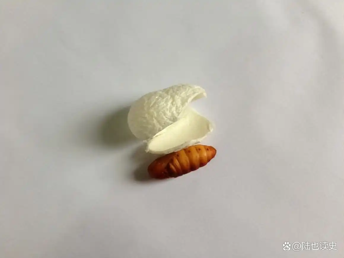 避孕贴药多久吃一次对身体有害_避孕贴药店有卖的吗_避孕贴跟避孕药