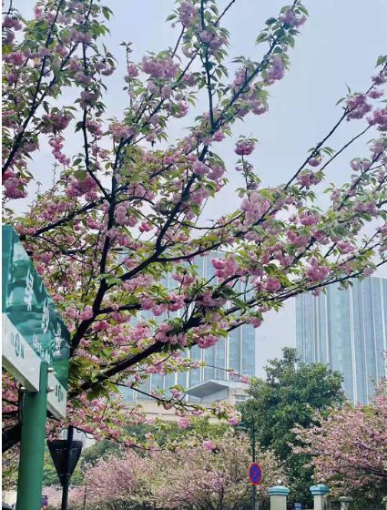 港中深_港中深面试培训_港中深金融专硕