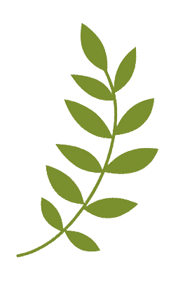 番茄钟使用案例_番茄钟记录表_番茄钟设计