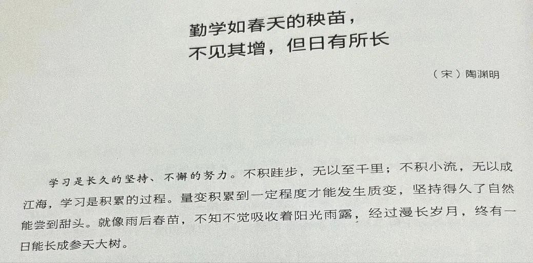 番茄思维数学怎么样_番茄钟倒计时是什么意思_思维导图软件番茄钟