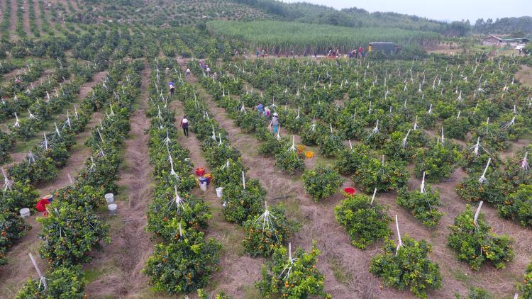 刘强东创业辛酸史故事_天涯创业失败史_创业失败史 老黄