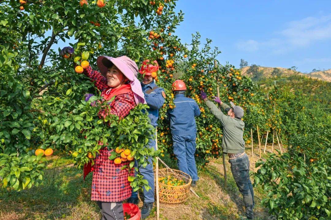 创业失败史 老黄_天涯创业失败史_刘强东创业辛酸史故事