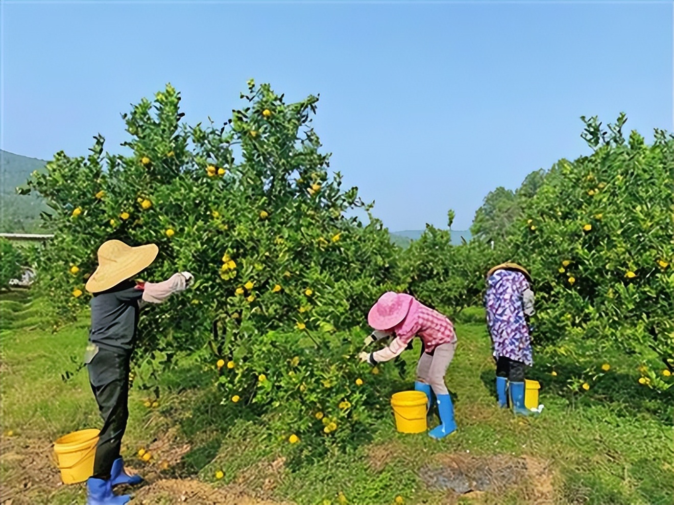 刘强东创业辛酸史故事_创业失败史 老黄_天涯创业失败史