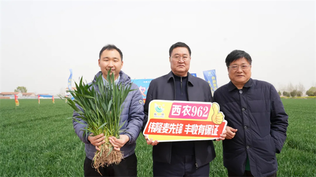 西北科技农林大学排名_西北农林科技大学门户_西北农林科技大学