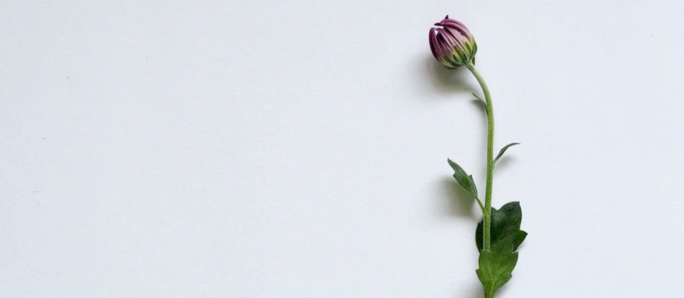 百度番茄钟_番茄钟app知乎_番茄钟 知乎