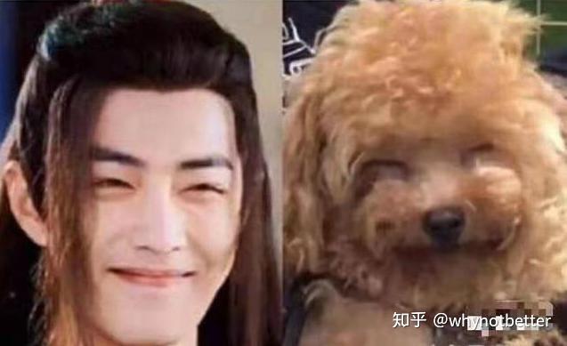 真空破壁机_真空破壁机怎么使用_真空破壁机是什么意思